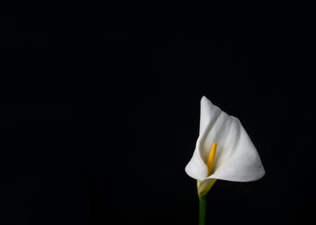 Sad News: Richard Baxter